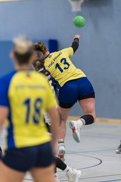 Bild 153 - F HSG Pinnau2 - Rellinger TV2 : Ergebnis: 27:20